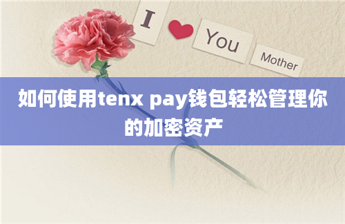 如何使用tenx pay钱包轻松管理你的加密资产