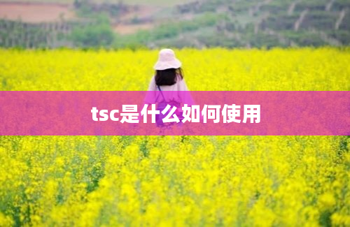 tsc是什么如何使用