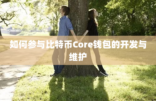 如何参与比特币Core钱包的开发与维护