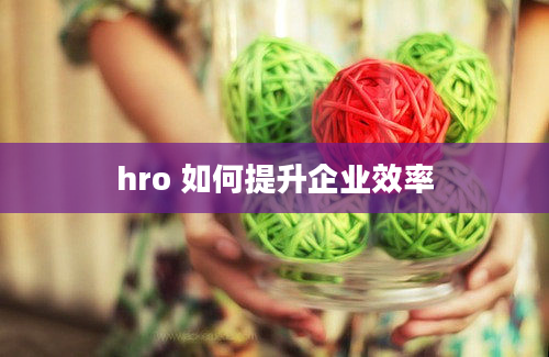 hro 如何提升企业效率