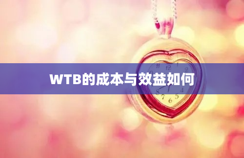 WTB的成本与效益如何