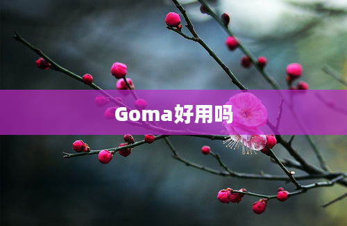 Goma好用吗