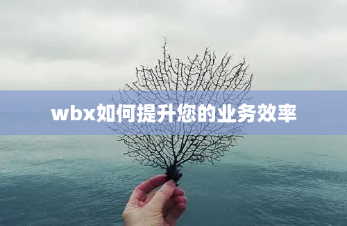 wbx如何提升您的业务效率