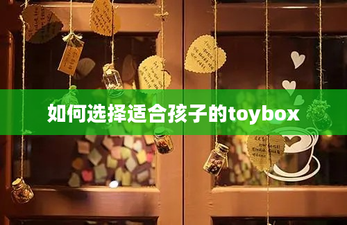 如何选择适合孩子的toybox