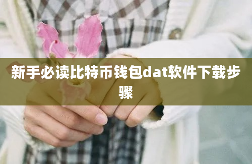 新手必读比特币钱包dat软件下载步骤