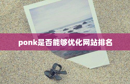 ponk是否能够优化网站排名