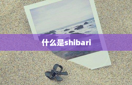 什么是shibari