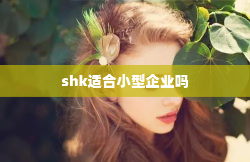 shk适合小型企业吗