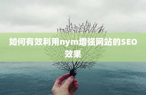 如何有效利用nym增强网站的SEO效果