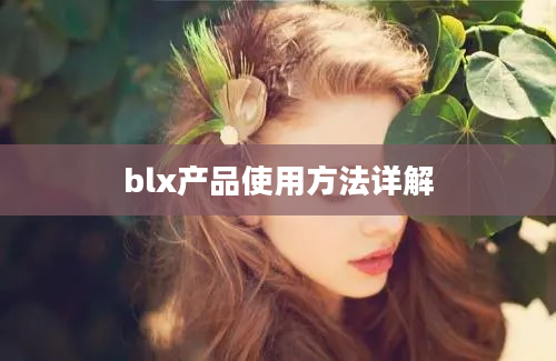 blx产品使用方法详解