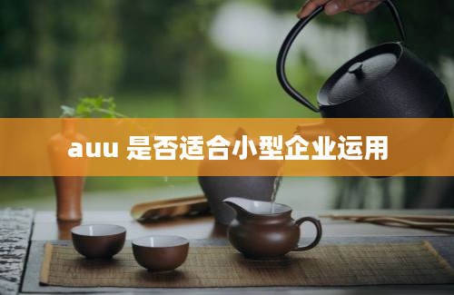 auu 是否适合小型企业运用